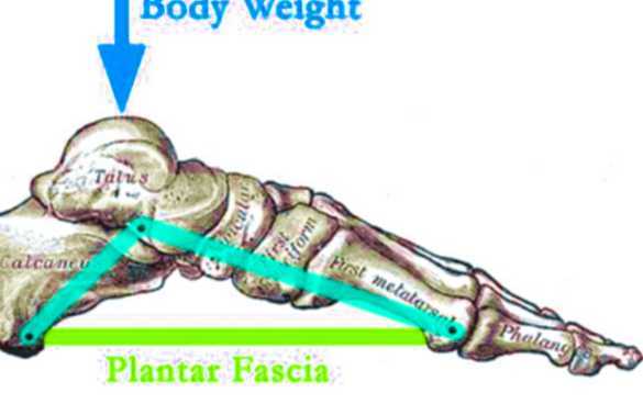 achat viagra pour homme femme