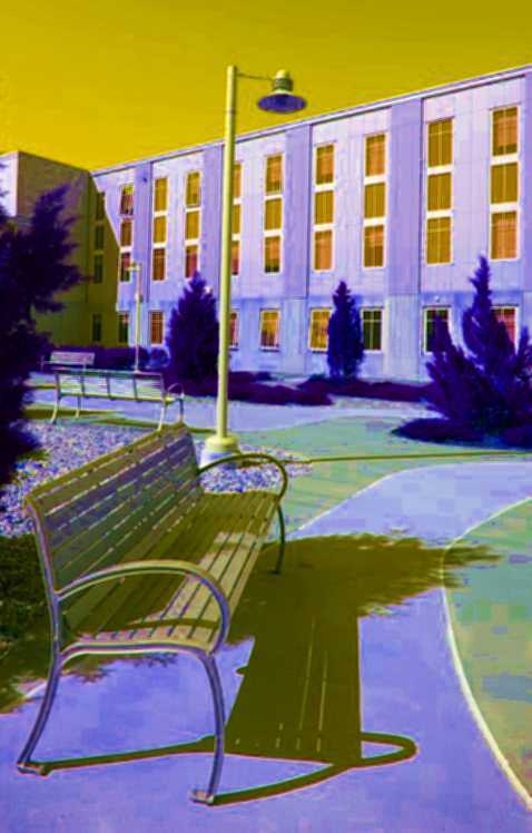 acheter viagra france ligne