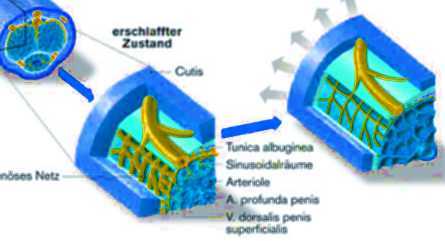 pharmacie en ligne viagra