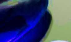 vente viagra espagne reglementation