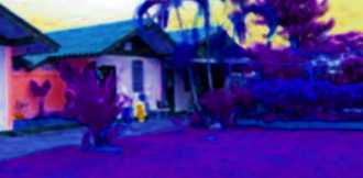 vente viagra pharmacie naturel