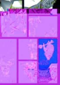 viagra effets indésirables