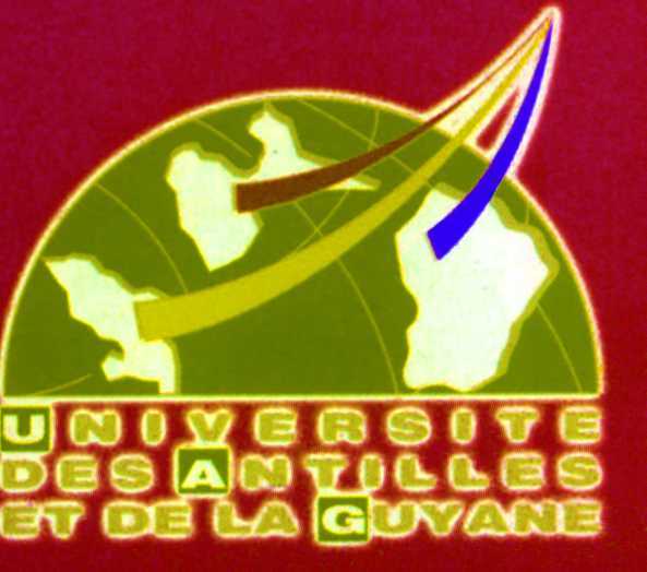 viagra feminin forum médicaments