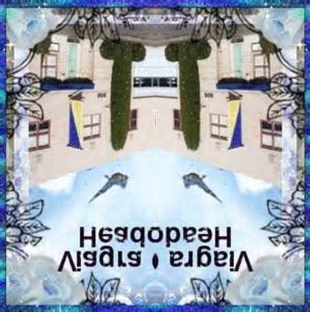 homme qui a pris du viagra