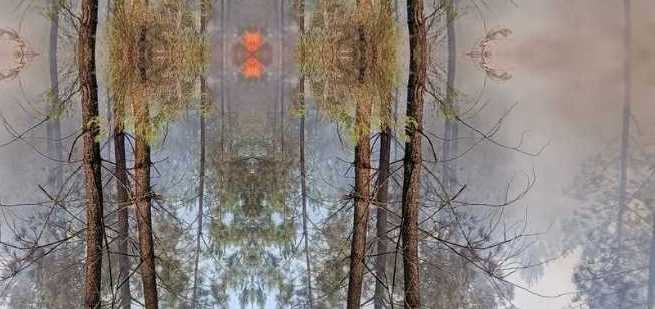 sildenafil citrate femme coupon codes